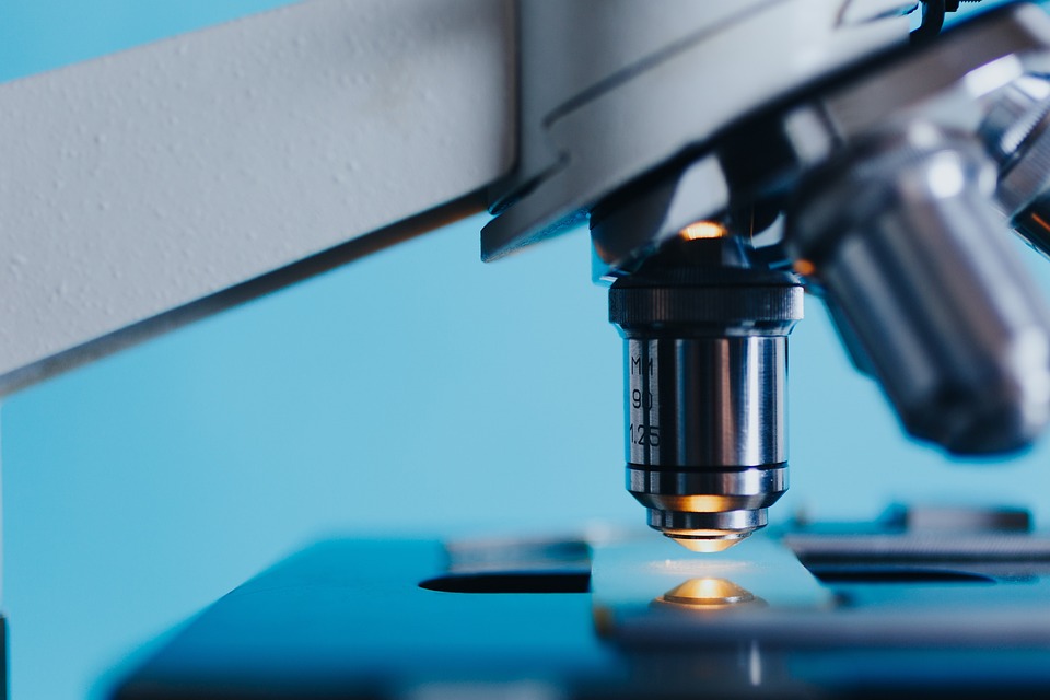 Study Biology in Czechia