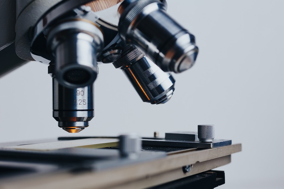 Study Biology in Hungary