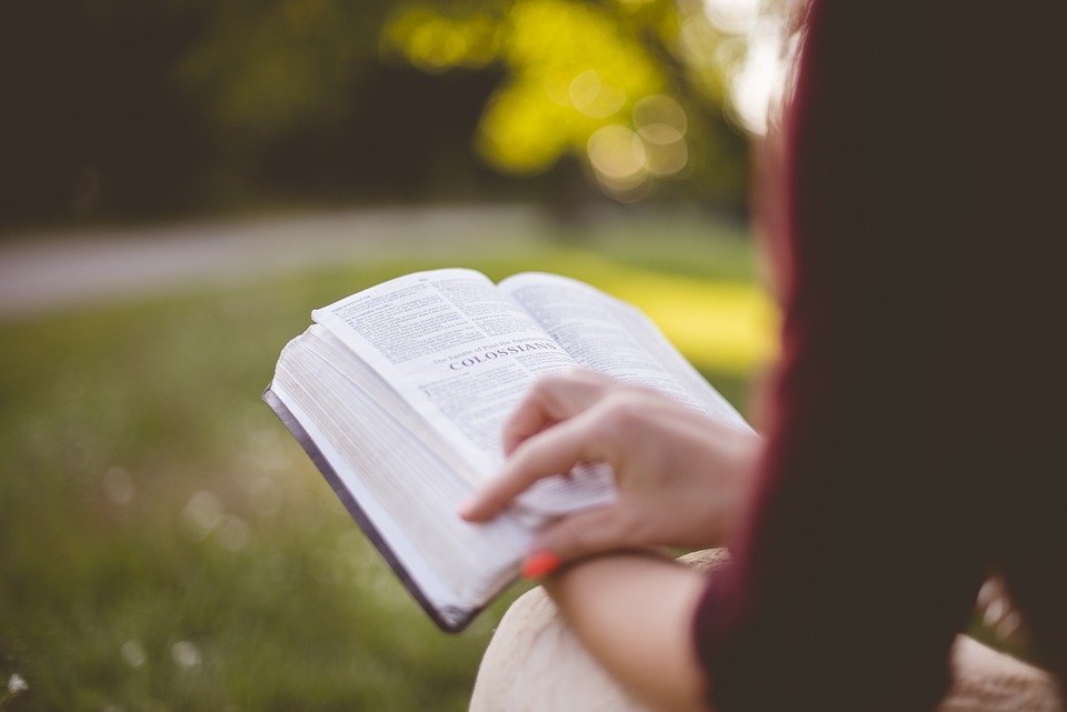 Study Biology in Ireland