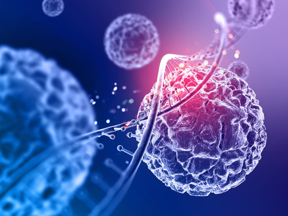 Study Biology in Turkey