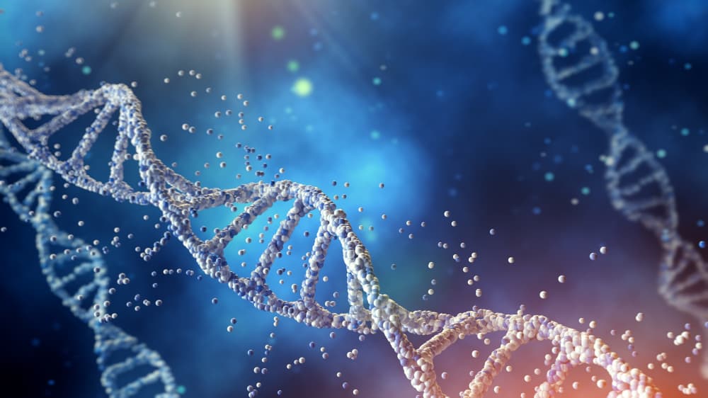 Study Biology in USA