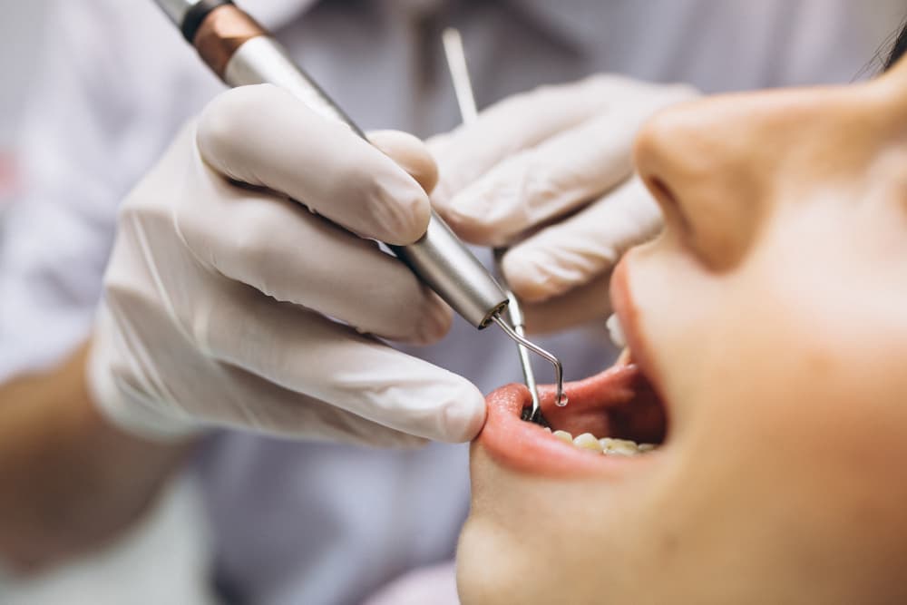 Study Dentistry in Czechia