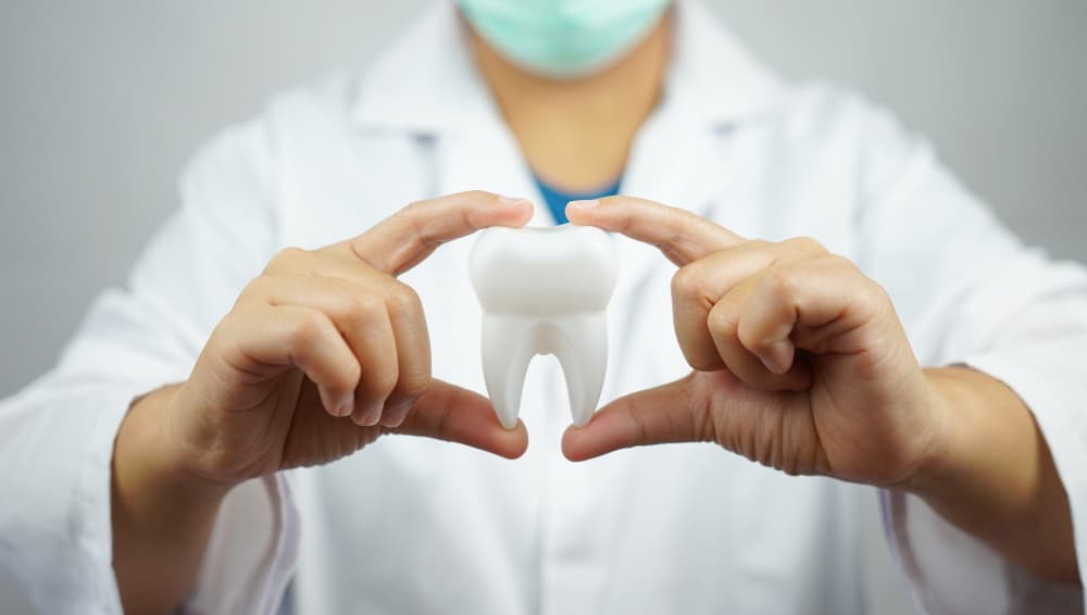 Study Dentistry in Italy