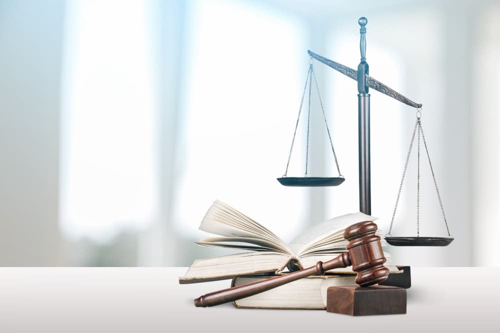 Study Law in Netherlands
