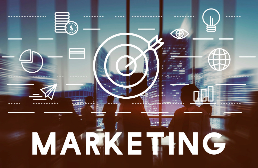 Study Marketing in the Netherlands