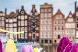Study in Netherlands