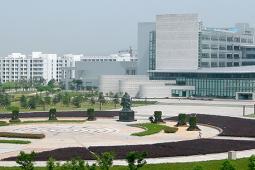 Undergraduate Study at Zhejiang Normal University