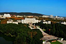 Undergraduate Study at Huazhong University of Science and Technology